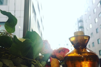オイルと植物